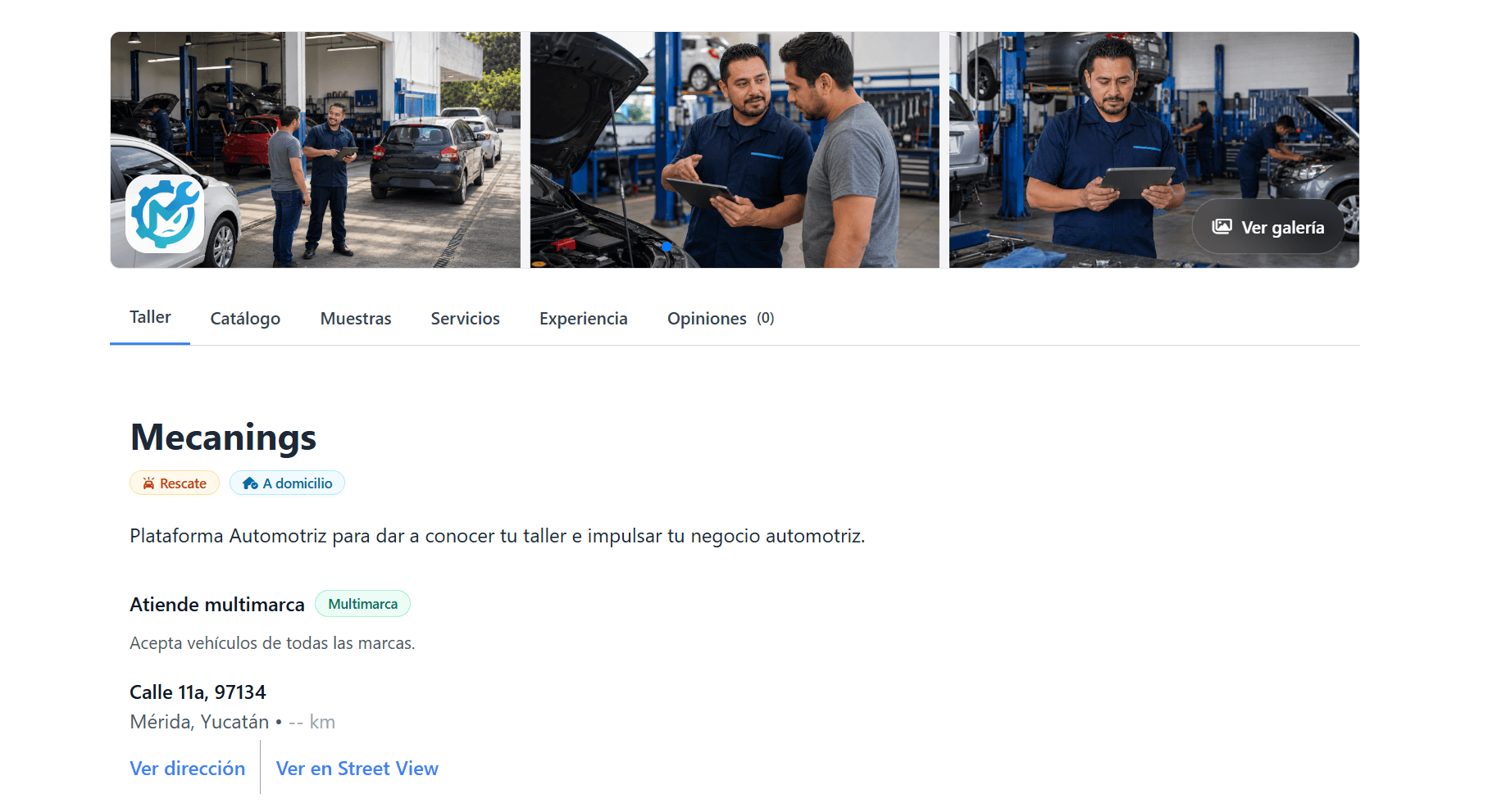 Vista previa de perfil profesional de negocio en escritorio